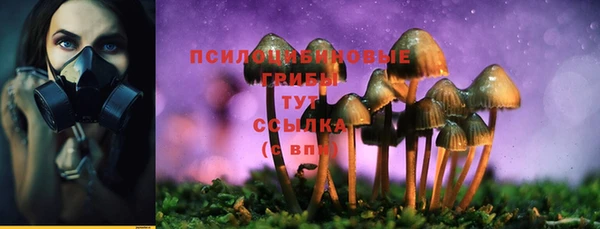 трава Гусев
